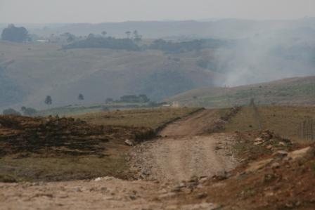 Verbotene Brandrodungen